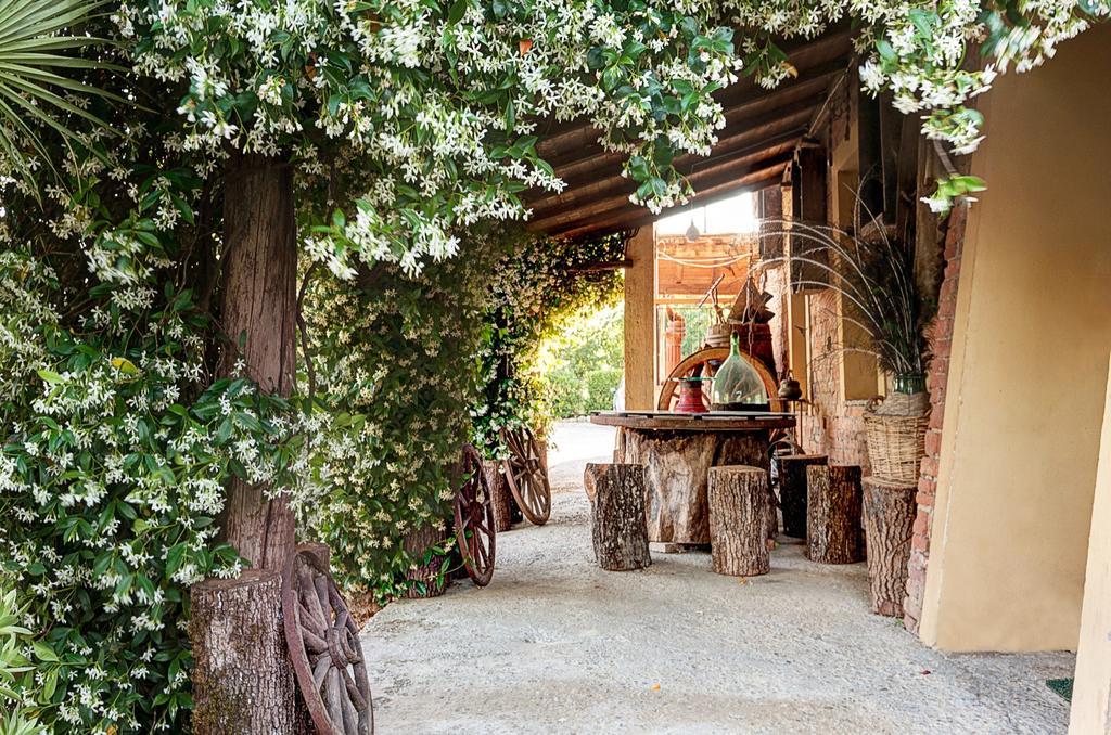 Appartamenti Alcantara E Damasco Abbadia di Montepulciano Номер фото